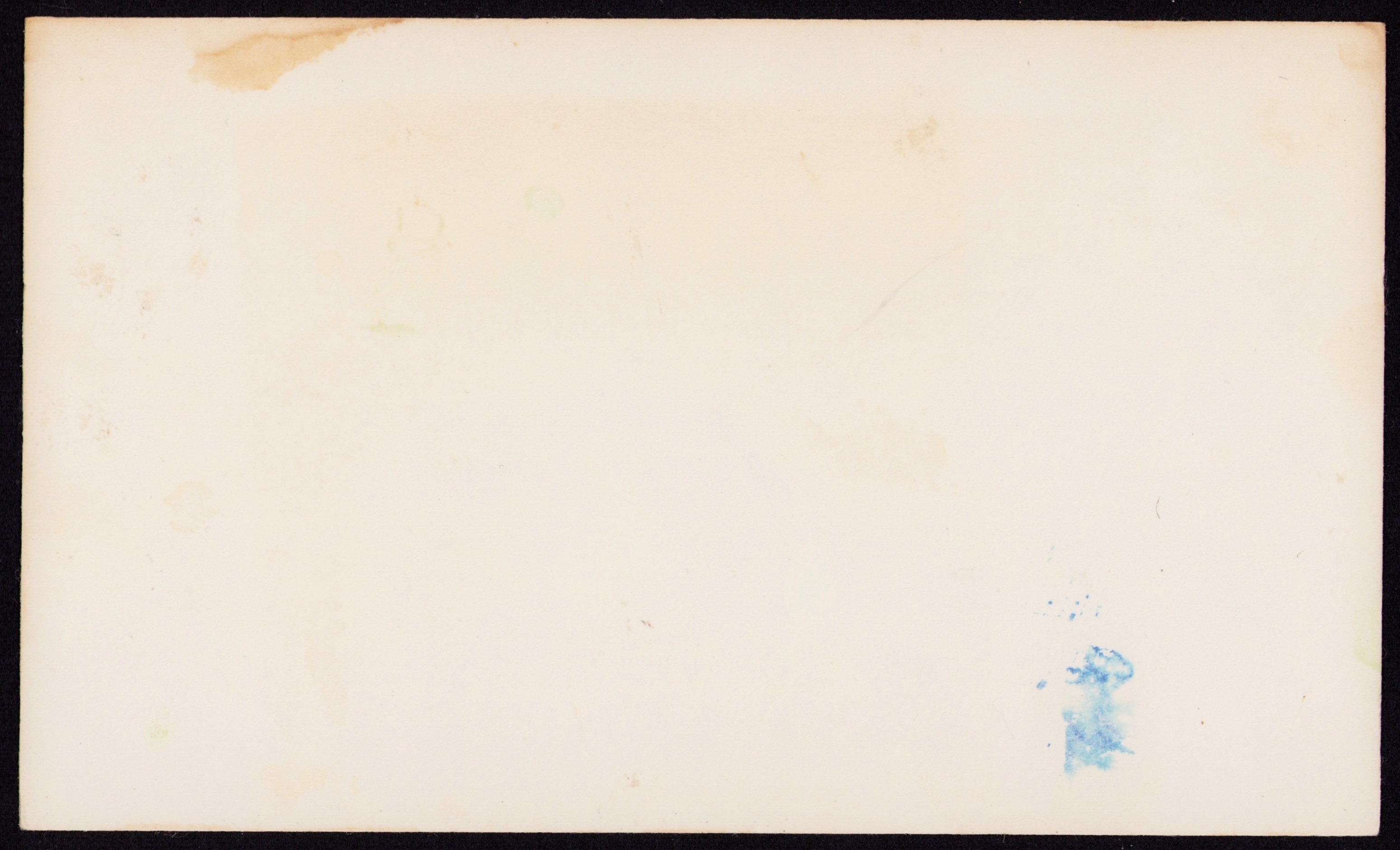 Frozen Salad — back of the card