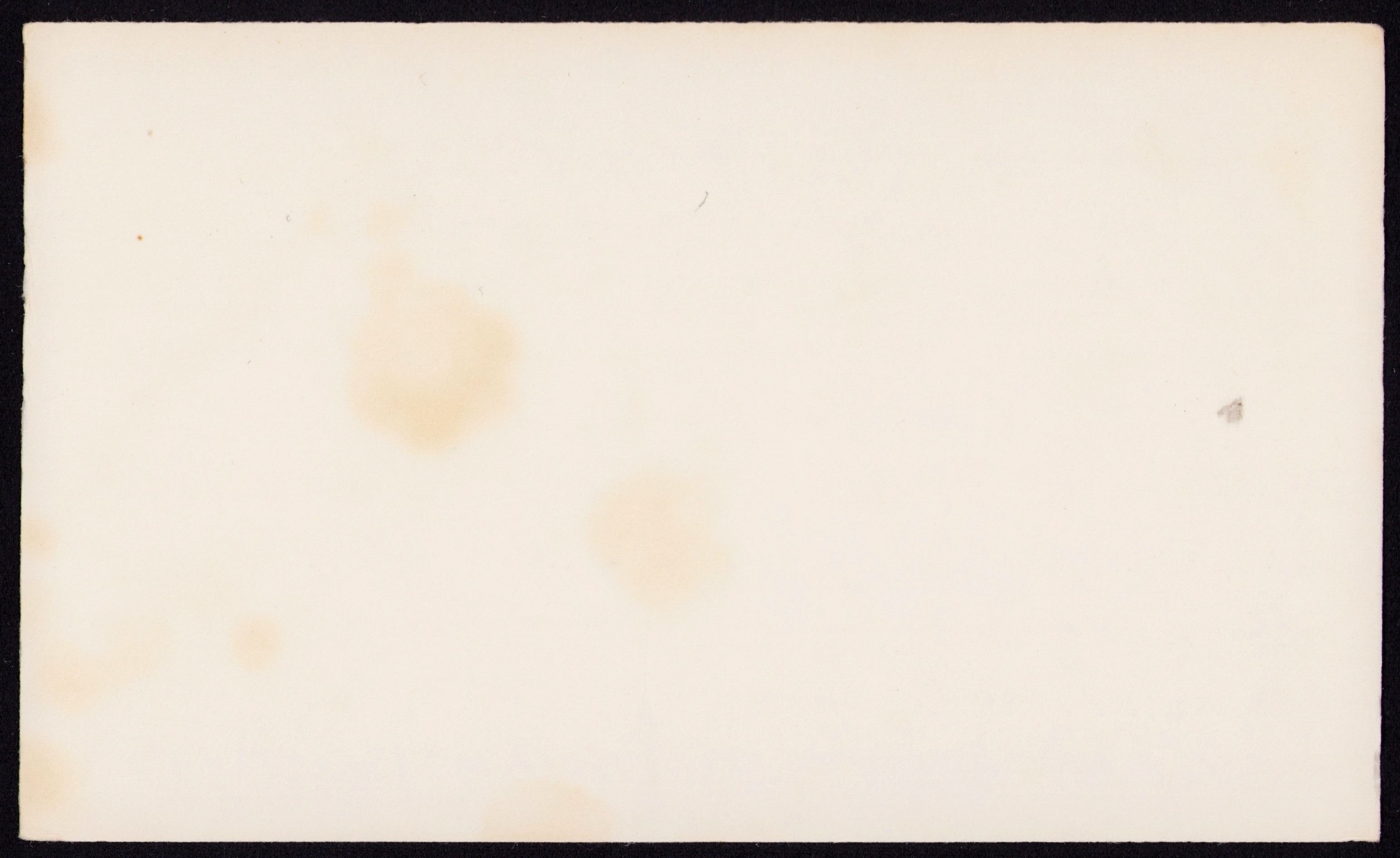 Prune Bavarian Cream — back of the card