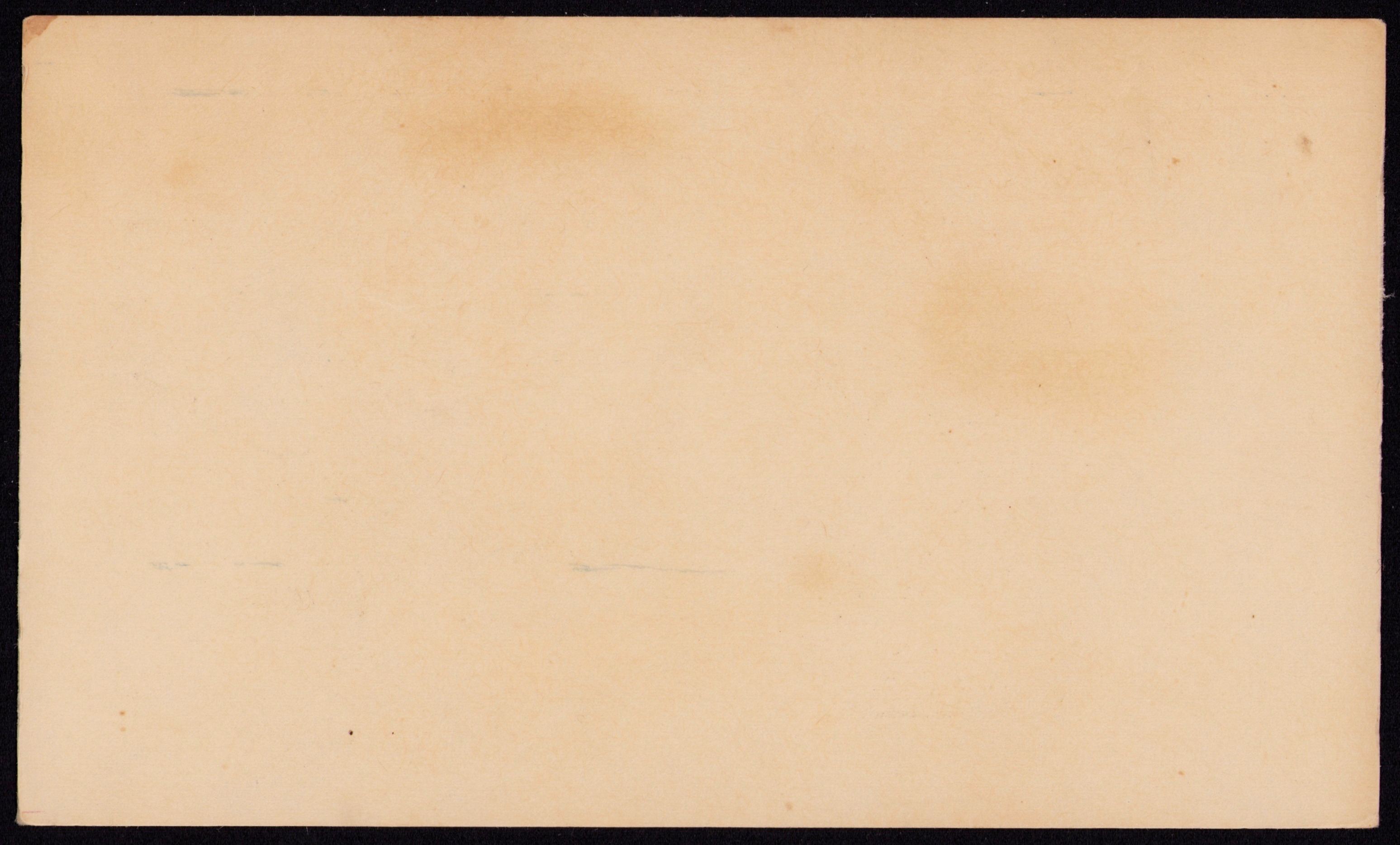 Muffins — back of the card