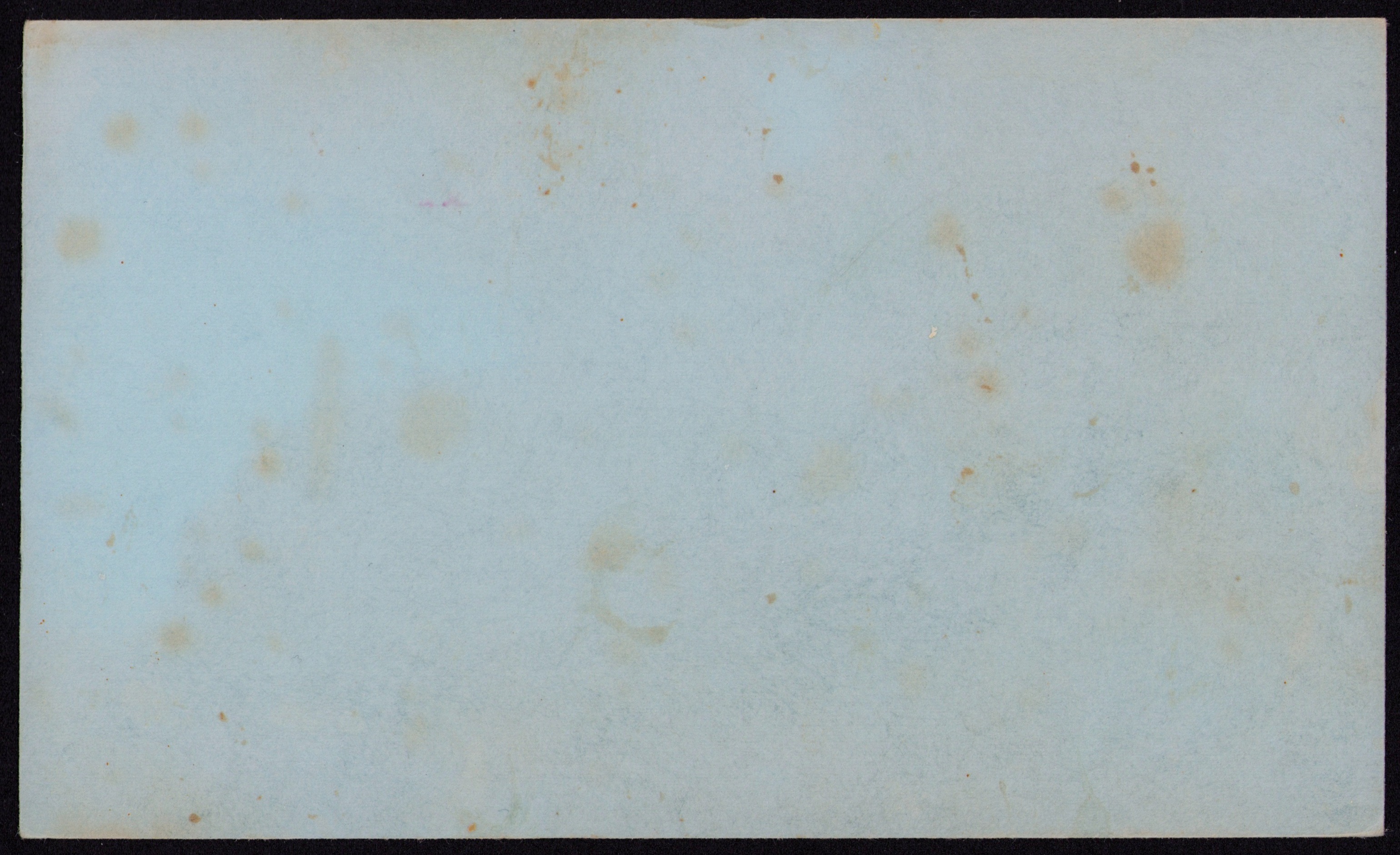 Carrot Cake — back of the card
