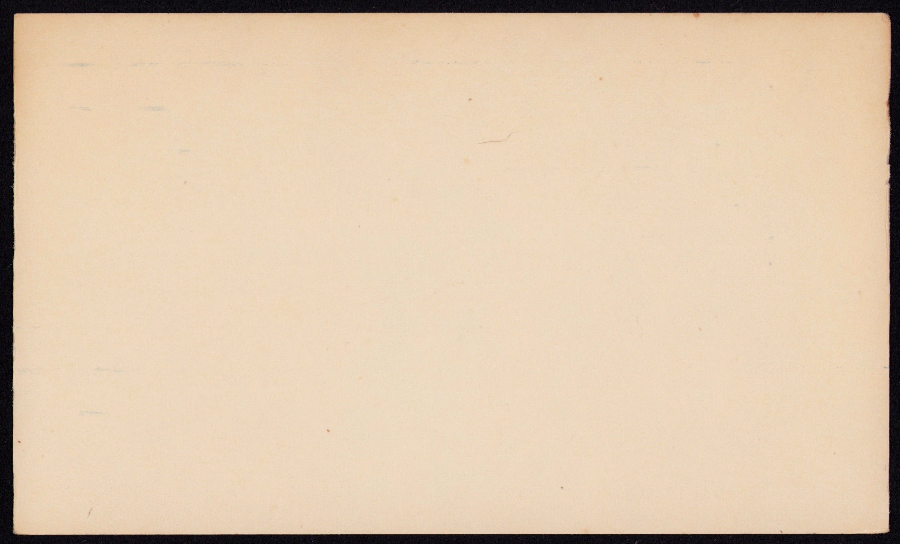 SteamedBread — back of the card